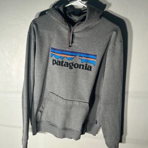 Patagonia Men’s Hoodie